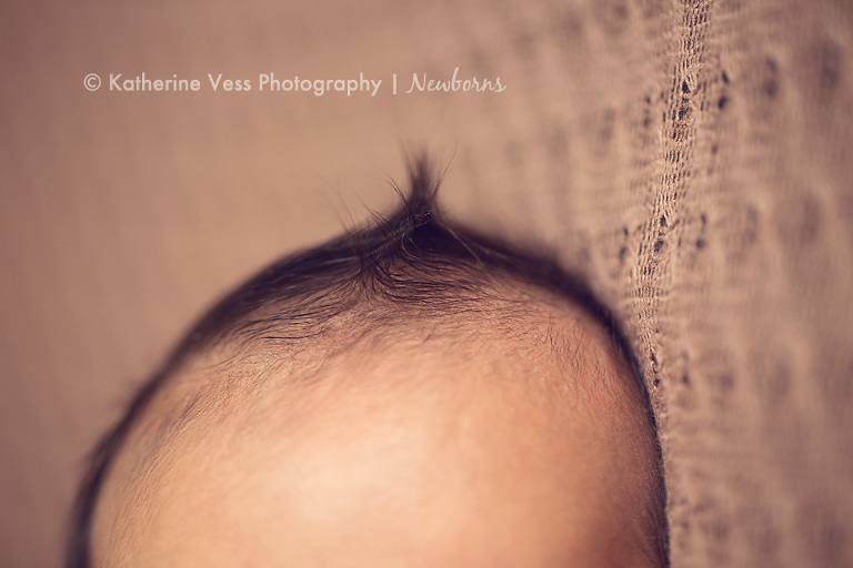 newborn mohawk, macro