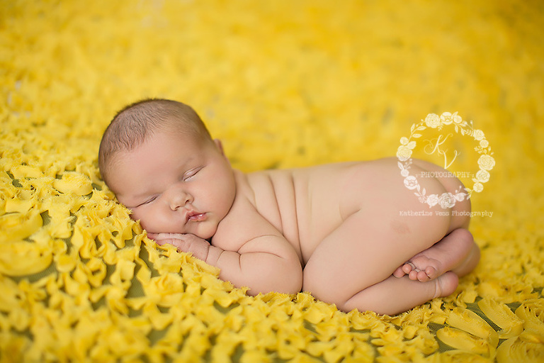 yuba city newborn photographer