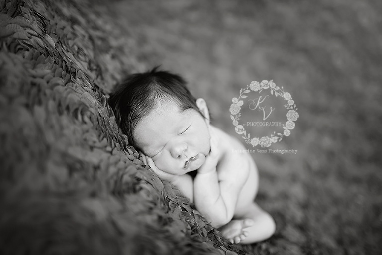 Auburn newborn photographer