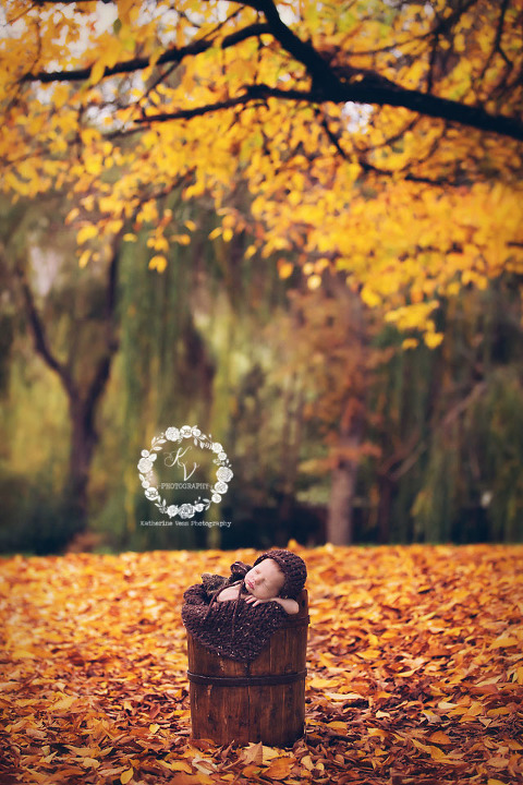 gorgeous outdoor fall newborn, newborn in leaves