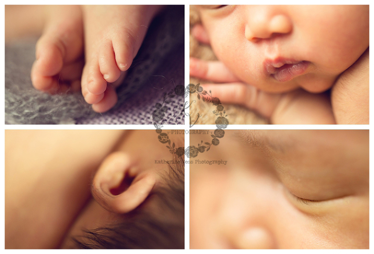 newborn macro. little details