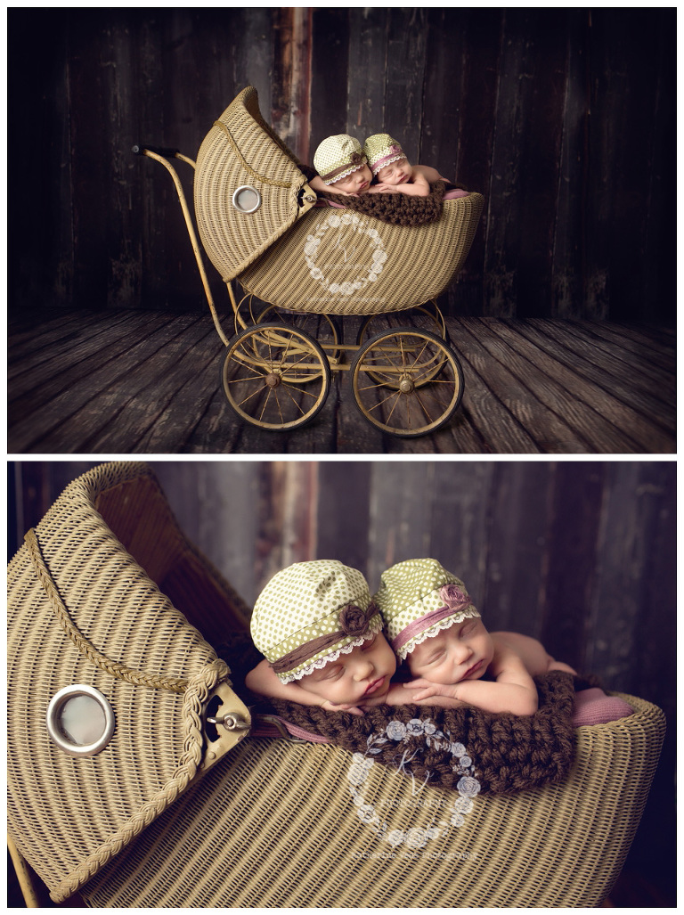 newborn girl twins in baby carriage