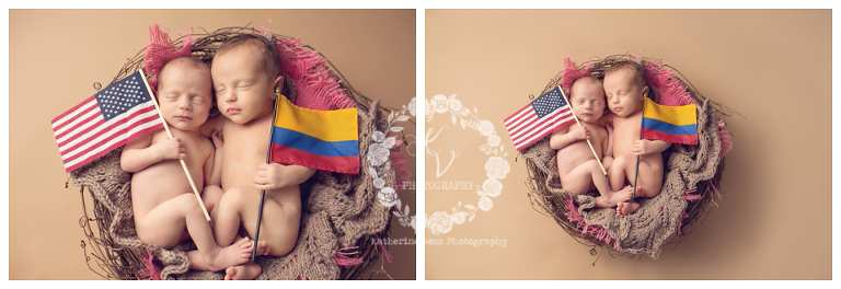 newborn twins with flags