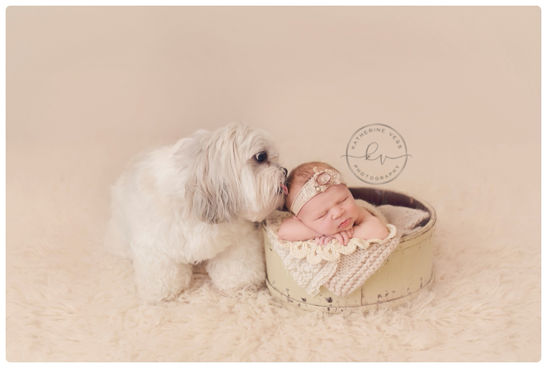 Best Sacramento Newborn Photographer